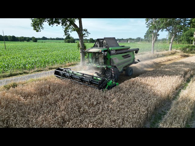 Moisson blé/orge 2026 🌾