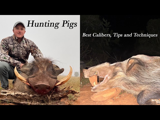 Hunting Hogs – BEST Caliber, Tips and Techniques