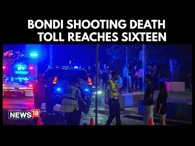 Death Toll Rises To Sixteen In Bondi Beach Mass Shooting, Say Officials | Sydney Attack | N18G