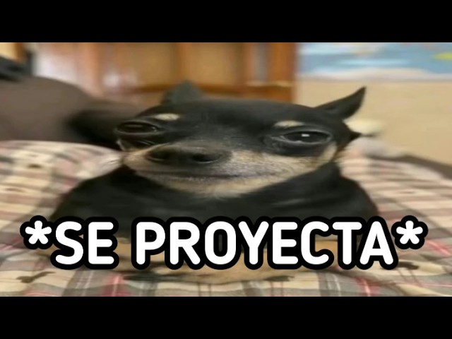 Shitposting compilation V218