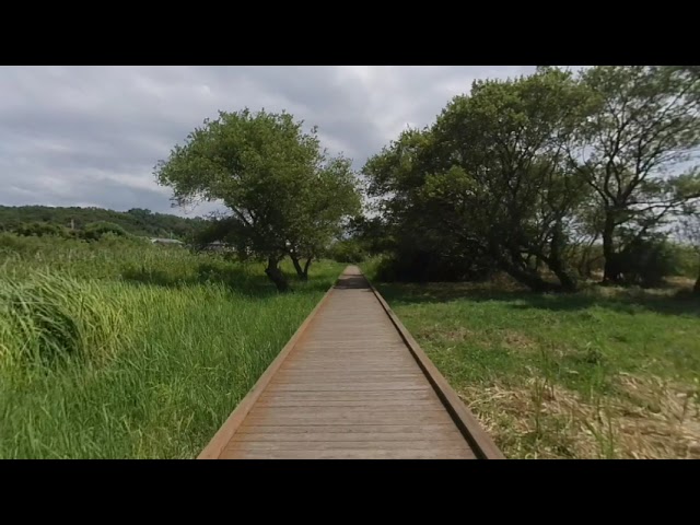 牛久沼かっぱの小径　Ushikunuma Kappa-no-komichi.