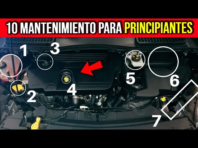 Car Maintenance for Beginners (WHAT YOU NEED TO KNOW)
