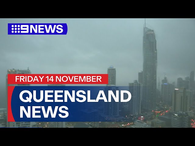 9News Queensland | Friday November 14 | Full Episode
