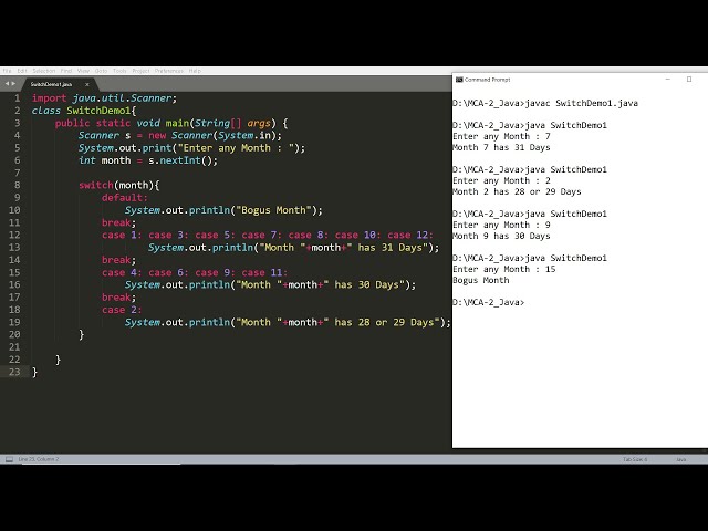 Java - switch statement with explanation and practical demonstrations