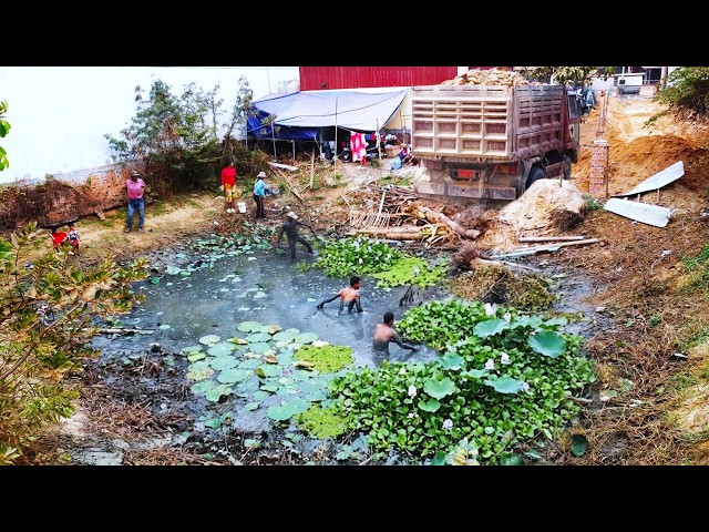 First Start Amazing PROJECT!! Filling Land Delete Deep Fish Pond Use D21A Bulldozer & 5Ton Truck.