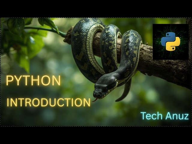 Python Tutorial | Interview & Semester Exam Preparation
