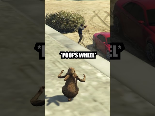 Bunny Bite Trolling in GTA 5
