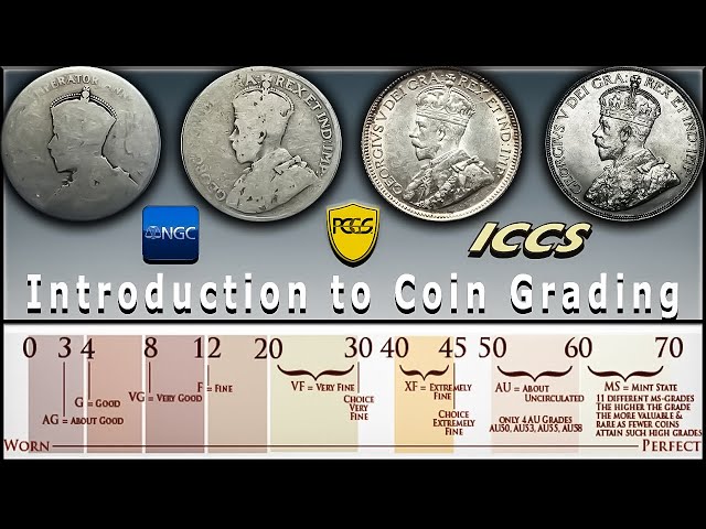 How to Grade Coins: Beginners Guide to the Sheldon Scale, Numismatics & Canadian Coin Collecting!!
