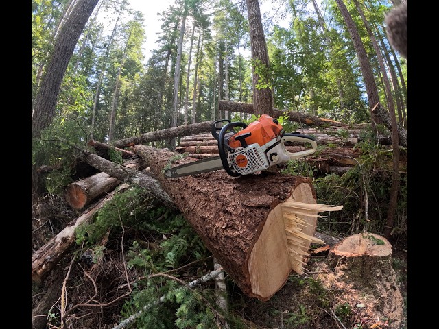 Stihl ms400 (Magnum) Felling Poles - 1st Gen Max-Flow Prototype Testing