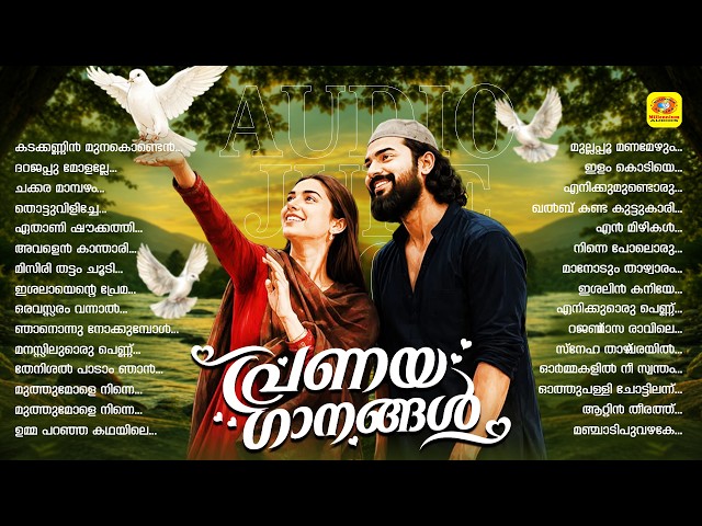 മാപ്പിളപ്പാട്ടിലെ പ്രണയ ഗാനങ്ങൾ | Selected Mappila Romantic Songs | Malabar FM