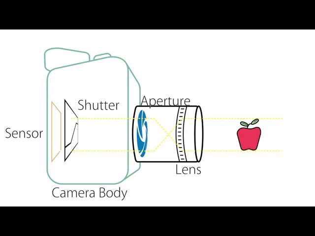 Camera Basics - Anatomy of a Camera