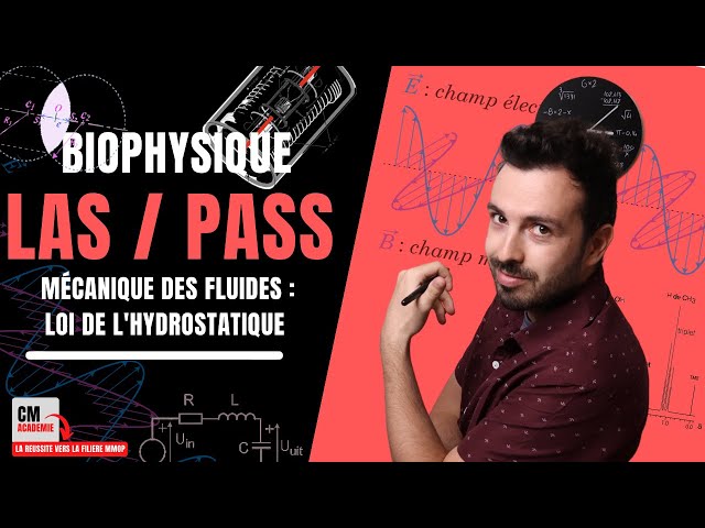 INTRODUCTION A LA MECANIQUE DES FLUIDES : 💧 LA LOI DE L'HYDROSTATIQUE (pression hémodynamique)
