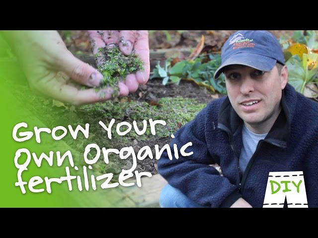 DIY Organic Garden Fertilizer | GreenShortz DIY