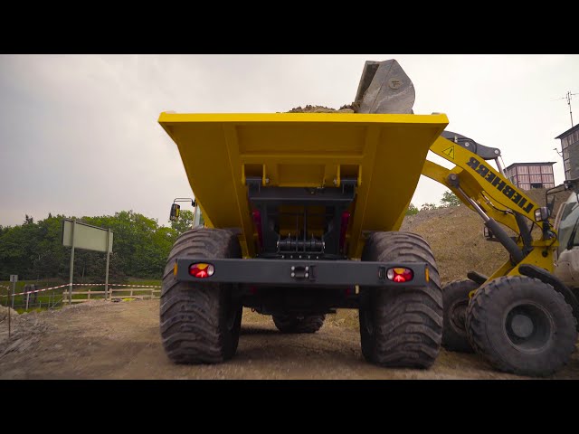 Bergmann Dumper | Dumper C815s (formerly Series 3000) | Wheel dumpers | 12 t payload