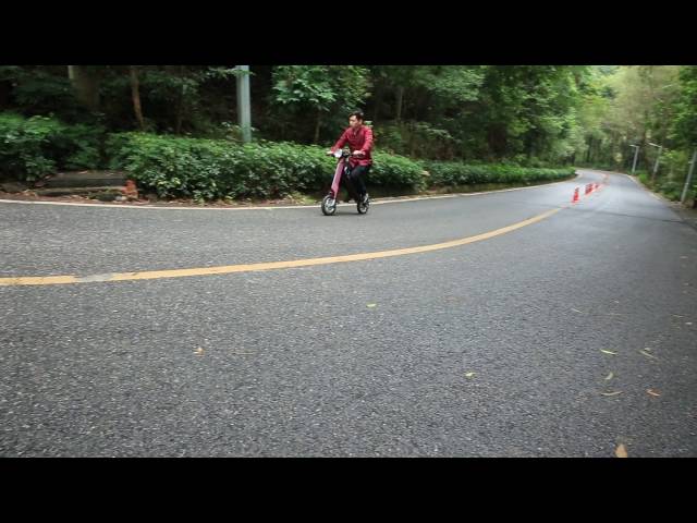 Lehe K1 electric bike.   long slope, so easy!