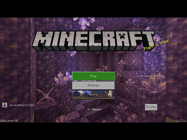 Minecraft_20210817115515