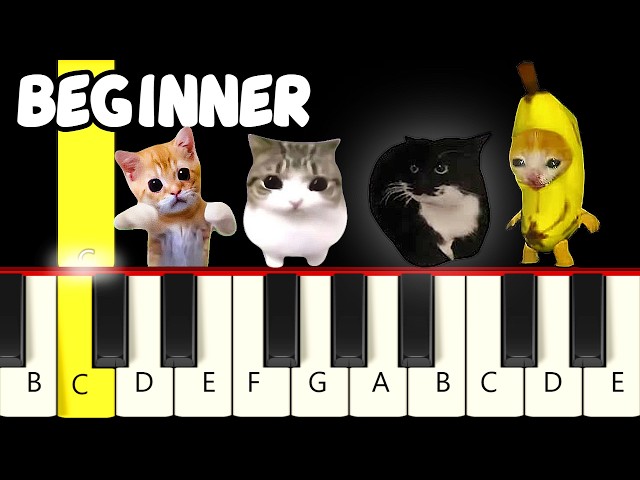10 Famous Cat Songs - Slow and Easy Piano Tutorial (Melody only) - Beginner