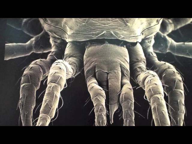 Why SciArt? (season 2, ep. 25)