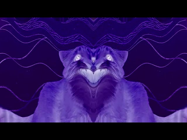 Shortest Video on Youtube Effects (Klasky Csupo 2001 Effects EXTENDED)