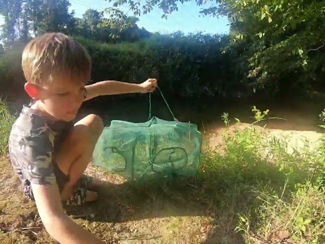 Drasry Fish Trap Review