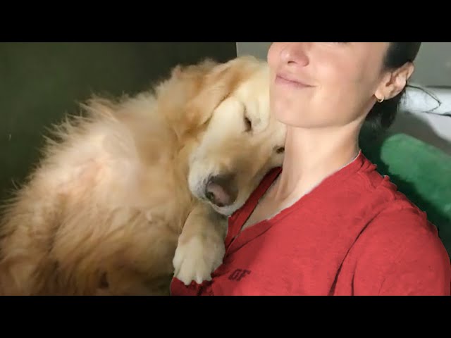 50 Sweetest moments dogs teach us what true and unconditional love is❤️