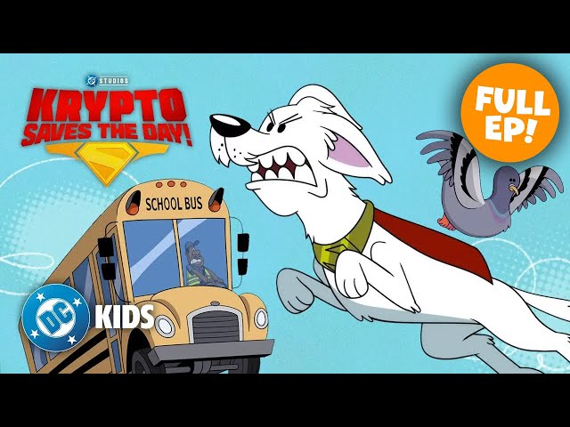 School Bus Scuffle! 🚌 🐦 | Krypto Saves The Day FULL EPISODE  @dckids