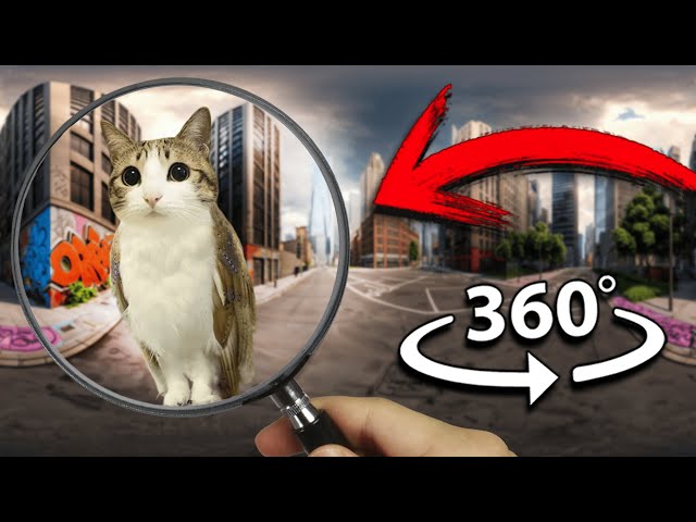 FIND Meowl | Finding Challenge 360º VR Video