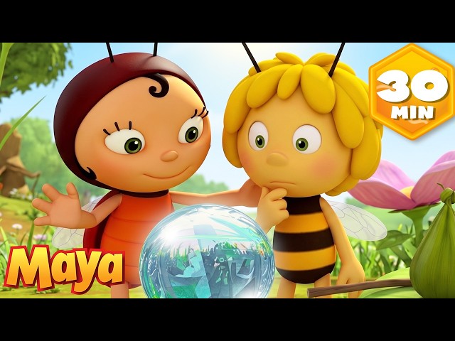 Maya y la misteriosa adivina 🔮 La Abeja Maya Latino 🐝 Recopilación |  Dibujos para Niños