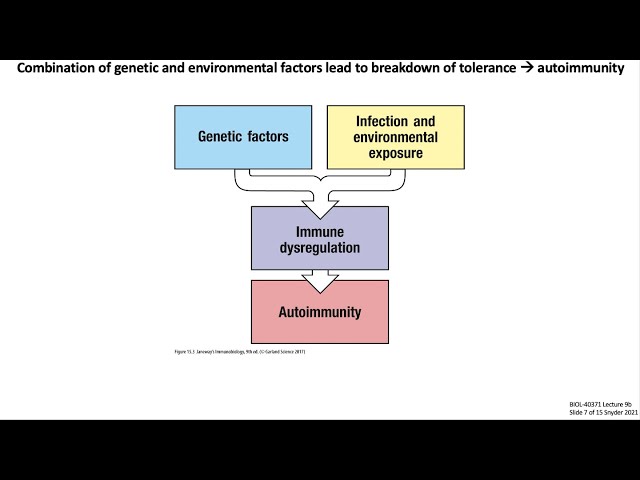 Lecture 9b: Autoimmunity