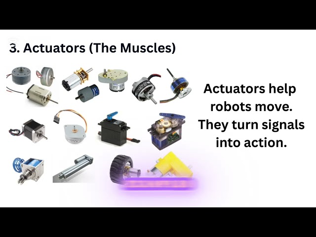 Meet the Parts That Make Robots Work