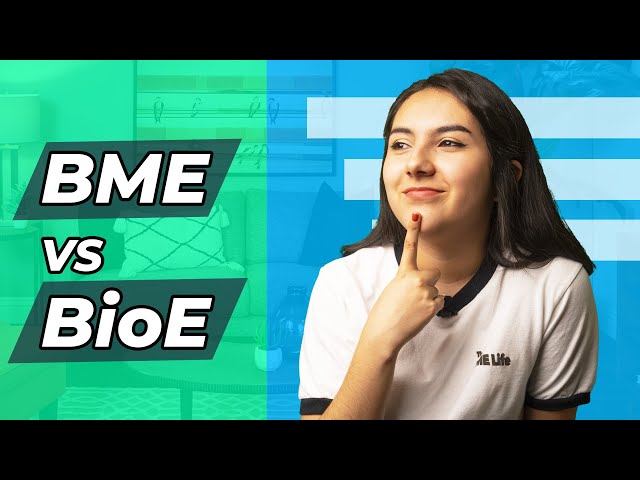 What is the Difference Between Bioengineering and Biomedical Engineering?