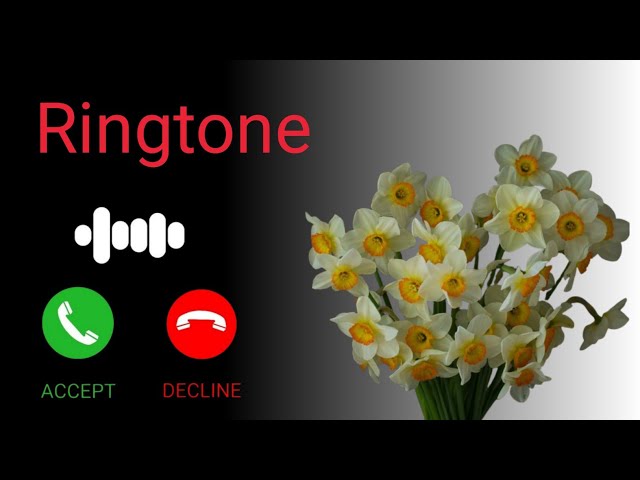 Incoming Call Ringtone | Hindi Song Ringtone | Ringtone Download | Best Ringtone | Trending Ringtone