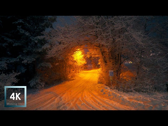 Heavy Snowfall at Night Walk 4K HDR