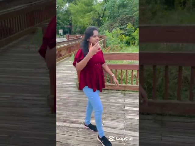 Kallu's first-vlog-USA