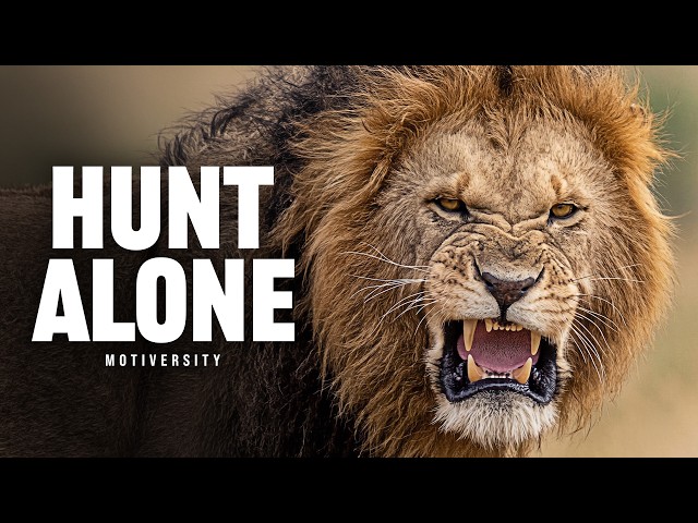 HUNT ALONE - The Most Powerful Motivational Speeches Compilation