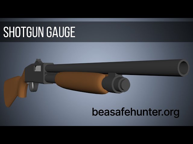 Shotgun Gauge, what is a shotgun gauge?