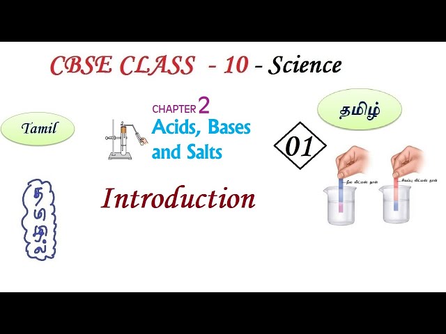 Acids, Bases and Salts in Tamil | Part 01 | Class 10 Science Chapter 2 (Chemistry) in Tamil, CBSE