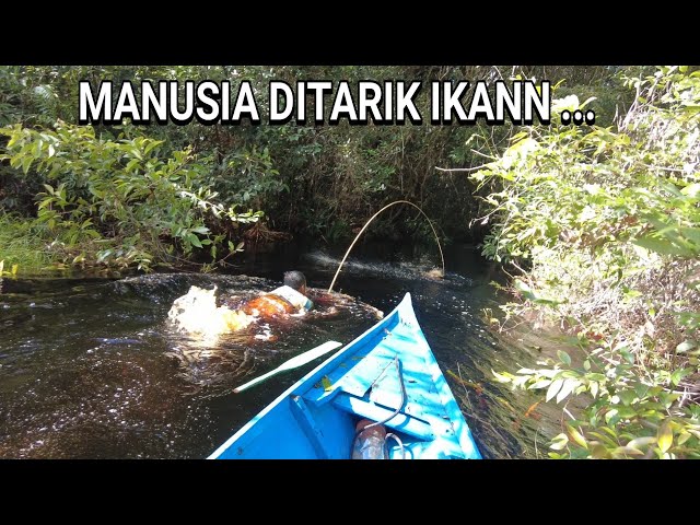 MANG DIMAN FINALLY WENT DOWN ...😰😰...