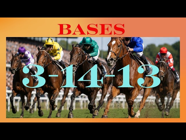 PRONOSTIC QUINTE DU JEUDI 03 SEPTEMBRE 2026 - DETECTE :BASES SOLIDES - MEILLEURS OUTSIDERS - TOCARDS