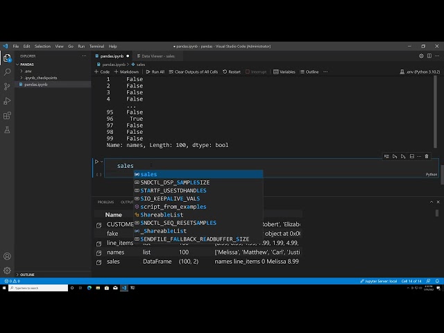 Working with pandas and Visual Studio Code