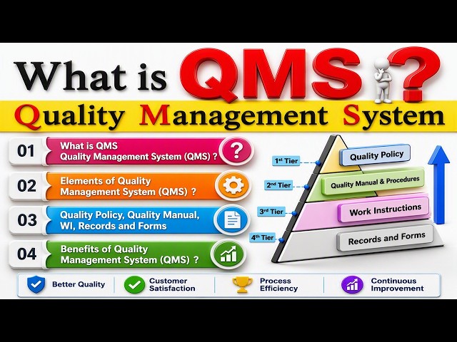 What is Quality Management System (QMS) | Elements of Quality Management System