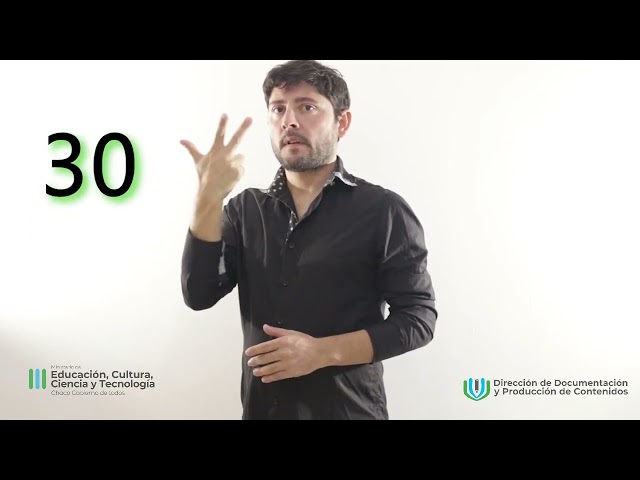 NÚMEROS EN LSA