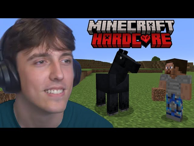 Minecraft Solo Hardcore Day 1