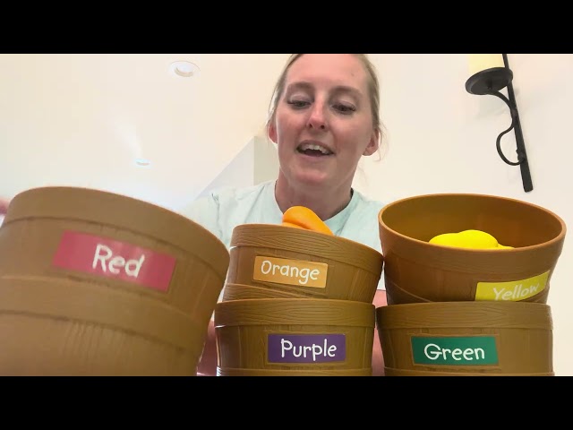 Review of Learning Resources Farmer’s Market Color Sorting Set #amazonfinds