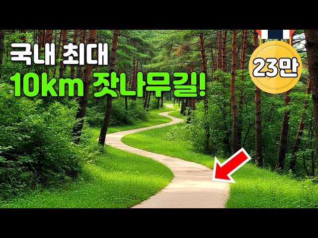 🚇 50 Min from Seoul! 10 km Healing Hike You Must Try | Easy Day Trip | South Korea