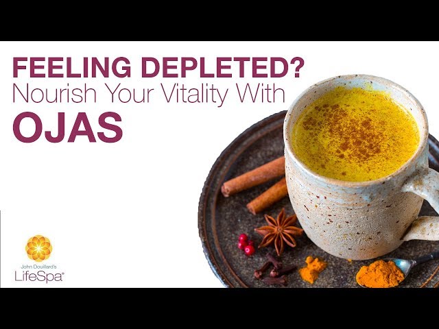 Feeling Depleted? Nourish Your Vitality with Ojas  | John Douillard's LifeSpa