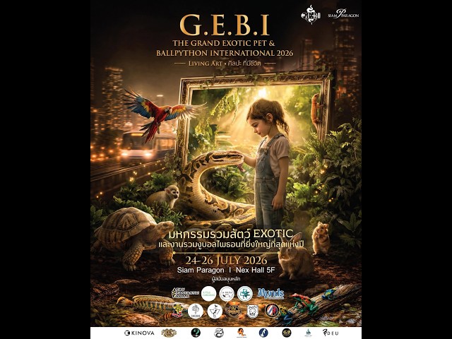 งานG E B I   The Grand Exotic Pet & Ball Python International