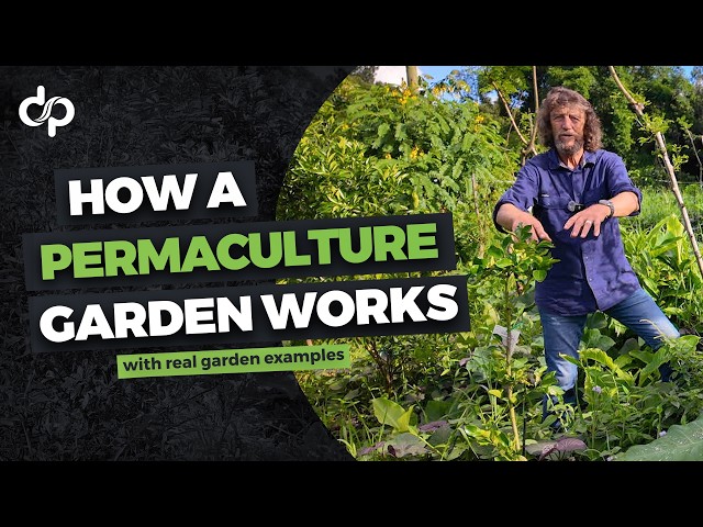 How a Permaculture Garden Works