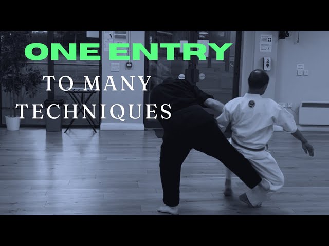 One Entry To Many Karate Techniques | Les Bubka
