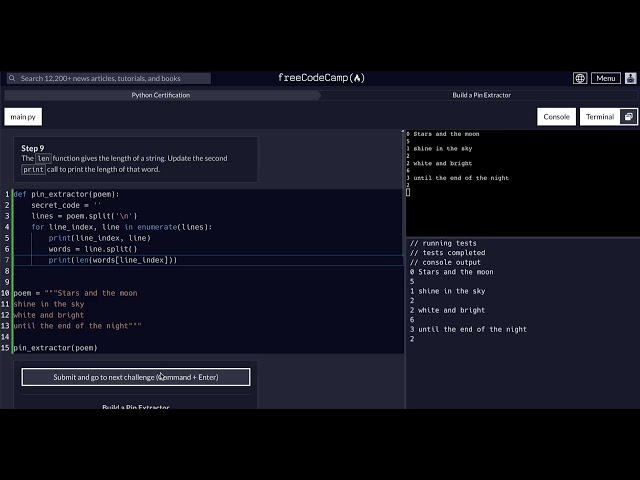FreeCodeCamp - Python Project - Step 9 of 19 - Pin Extractor